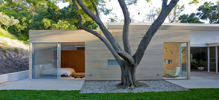 Midcentury Modern Home Remodel with Large Tree in Gravel and Pale Wood Siding, Gardenista